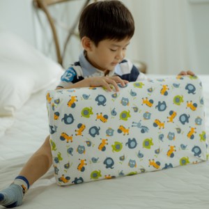 【Leafbaby】100%天然乳膠兒童枕1入-多款任選動物方程式
