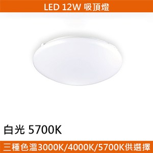 HONEY COMB LED 12W經典吸頂燈 白光 T04815